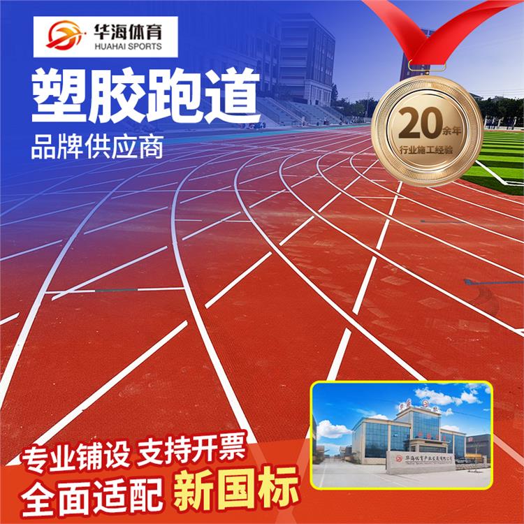 大庆市人造草坪预制型橡胶跑道 - 厂家
